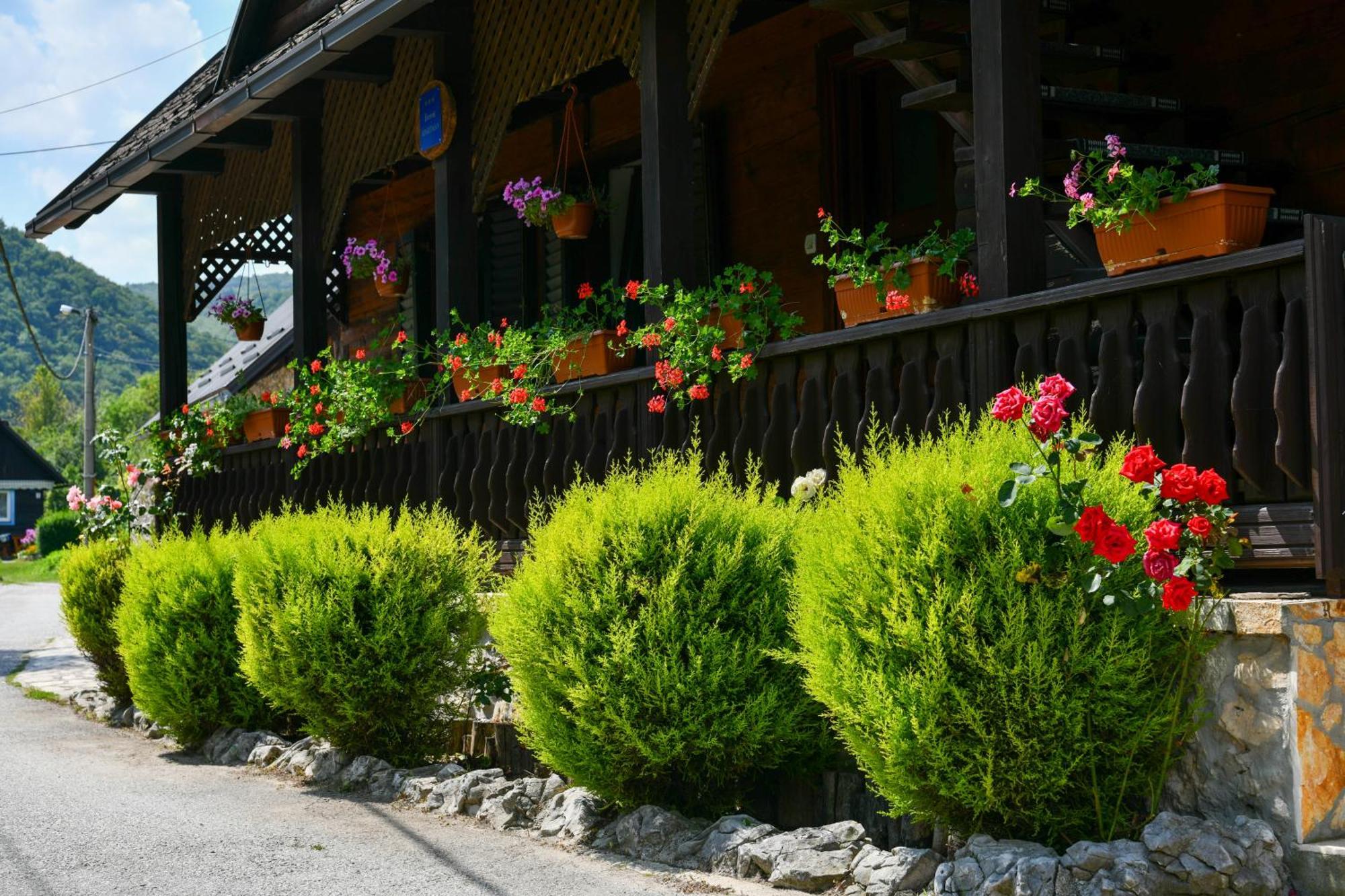 Guest House Martin Korana エクステリア 写真